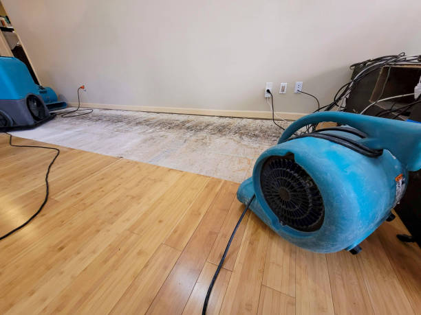 Professional Sewage Cleanup technician working in Four Oaks, NC